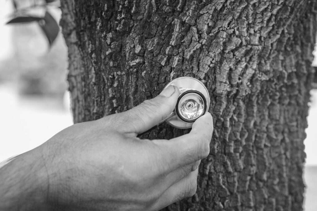 IoT Sensor in der Land- und Forstwirtschaft